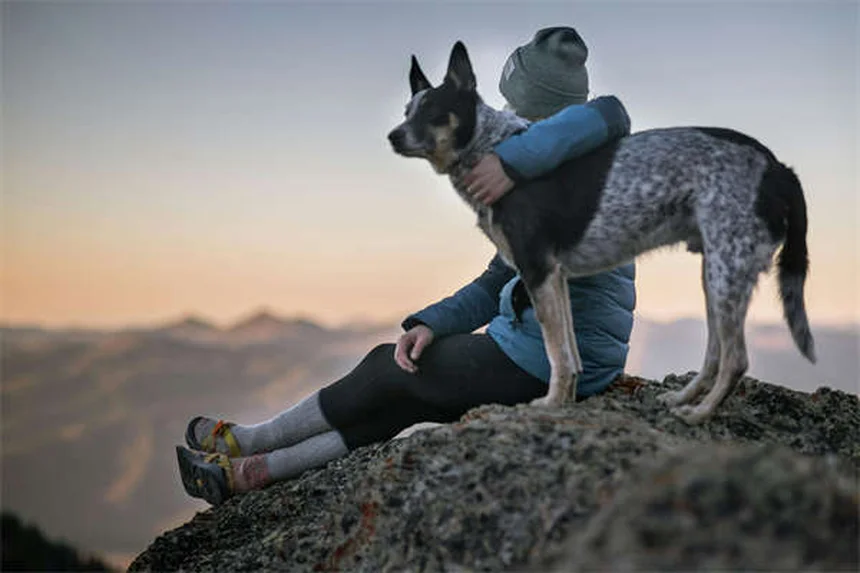 Bringing Home a New Puppy: Essential Tips for First-Time Owners