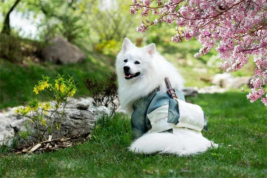 How to Pick Up a Puppy or Kitten Safely: 5 Expert Tips
